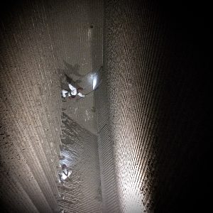 IMG_0239